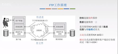 計算機網絡應用層核心技術 從C/S到P2P，從DNS到HTTP