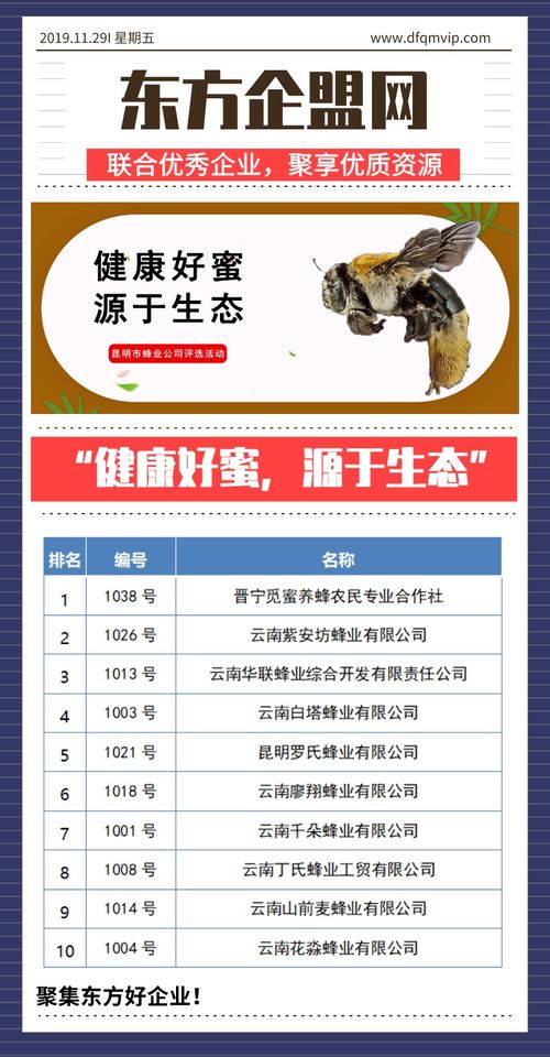 健康好蜜，源于生態(tài)——昆明市蜂業(yè)公司評(píng)選活動(dòng)信息技術(shù)咨詢服務(wù)方案